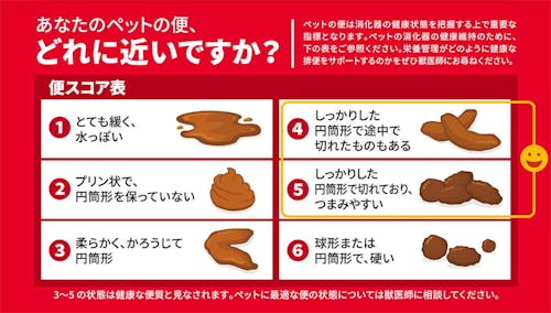 愛犬の腸活はじめませんか うんちの気になるニオイから理想のカタチまで 獣医師監修 わんクォール