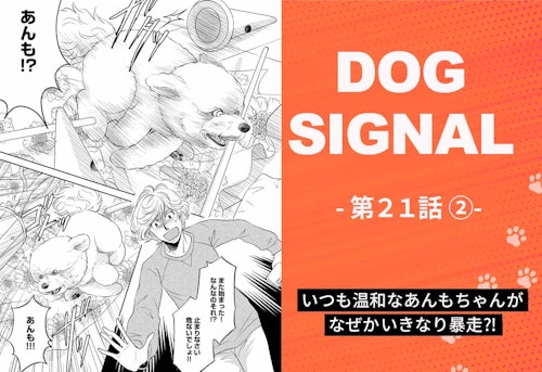 『DOG SIGNAL』21話目 2/4