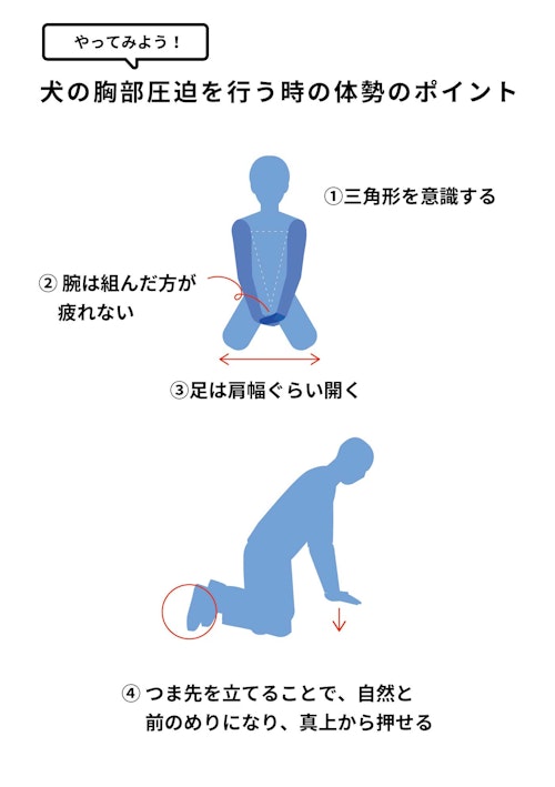 完全保存版 気温差のある時期に注意したい心臓発作 犬の救命救急 心肺蘇生と人工呼吸を知っておこう わんクォール 完全保存版 気温差のある時期に注意したい心臓発作 犬の救命救急 心肺蘇生と人工呼吸を知っておこう わんクォール