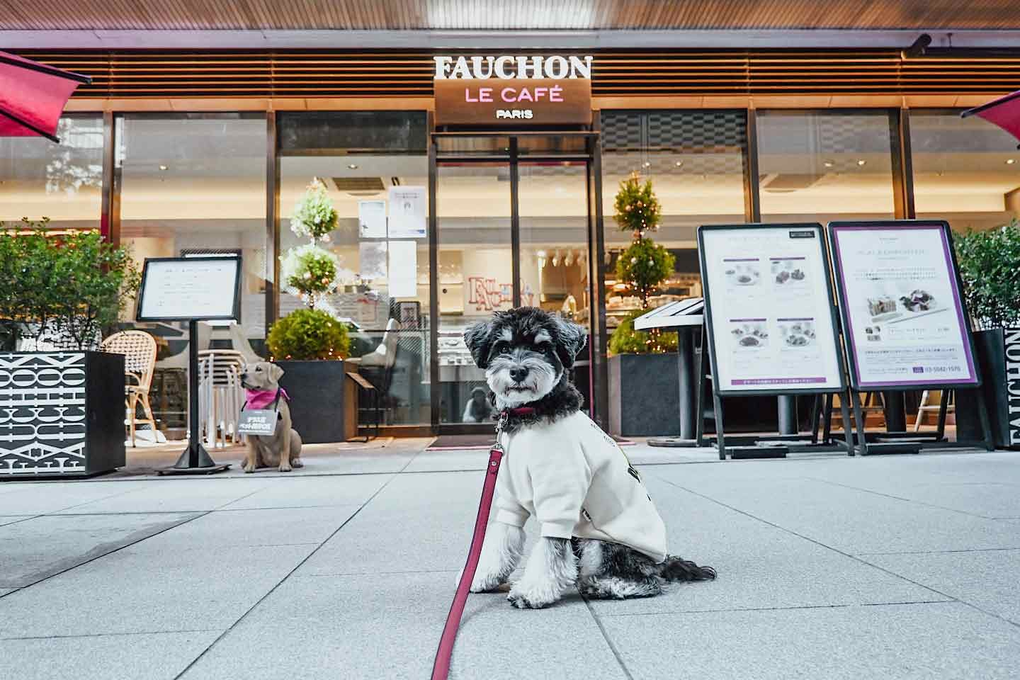 まるでフランスな『FAUCHON LE CAFE』愛犬との優雅なランチタイムにぴったり！