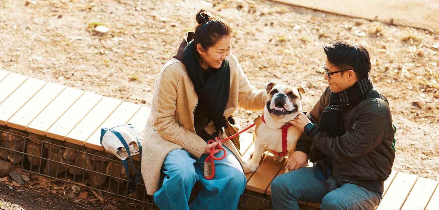鼻ぺちゃを愛してやまないご夫婦。愛犬のブルドッグ、エイトくんが