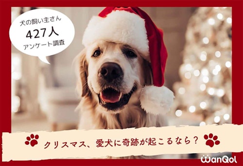 【読者アンケート】クリスマスに起きて欲しい奇跡、No.1は納得？の「愛犬が○○る」ことだった！