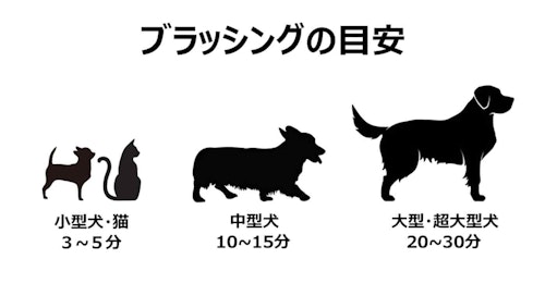 犬の抜け毛対策に最高のアイテム ごっそり毛が取れると話題のブラシ ファーミネーター の秘密に迫る わんクォール 犬の抜け毛対策に最高のアイテム ごっそり毛が取れると話題のブラシ ファーミネーター の秘密に迫る わんクォール
