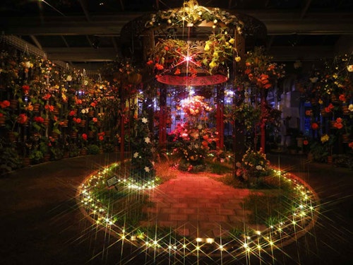 兵庫県立フラワーセンター「花と光のクリスマス」
