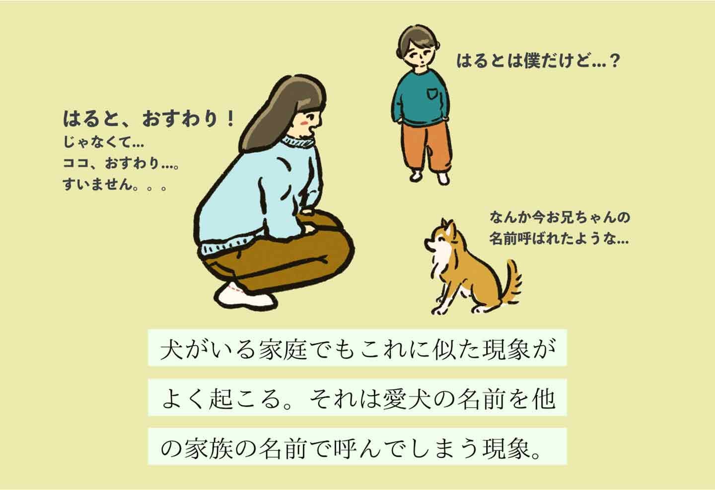 ヨビマチガイヌシの生態《変な飼いヌシ図鑑012》