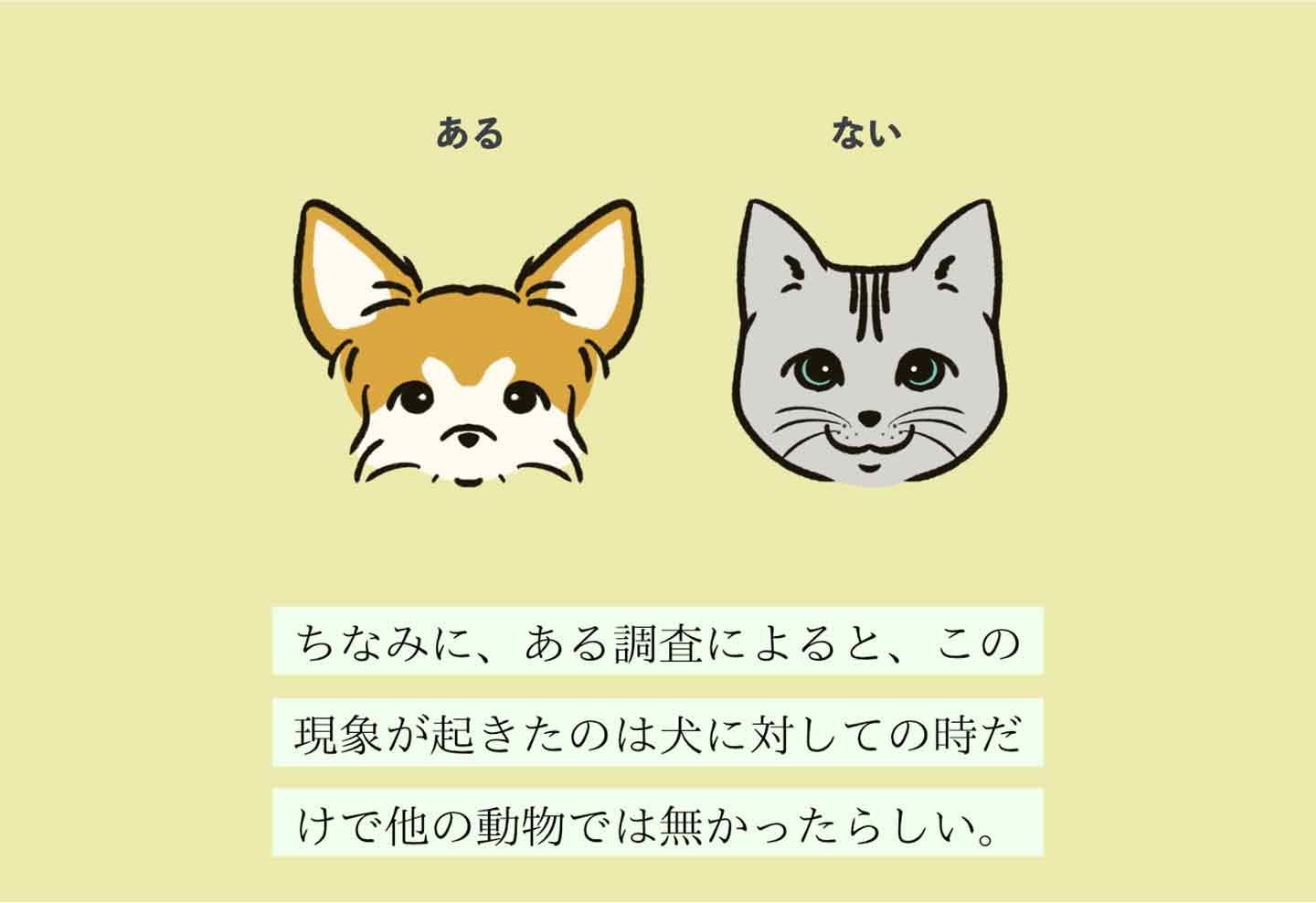ヨビマチガイヌシの生態《変な飼いヌシ図鑑012》
