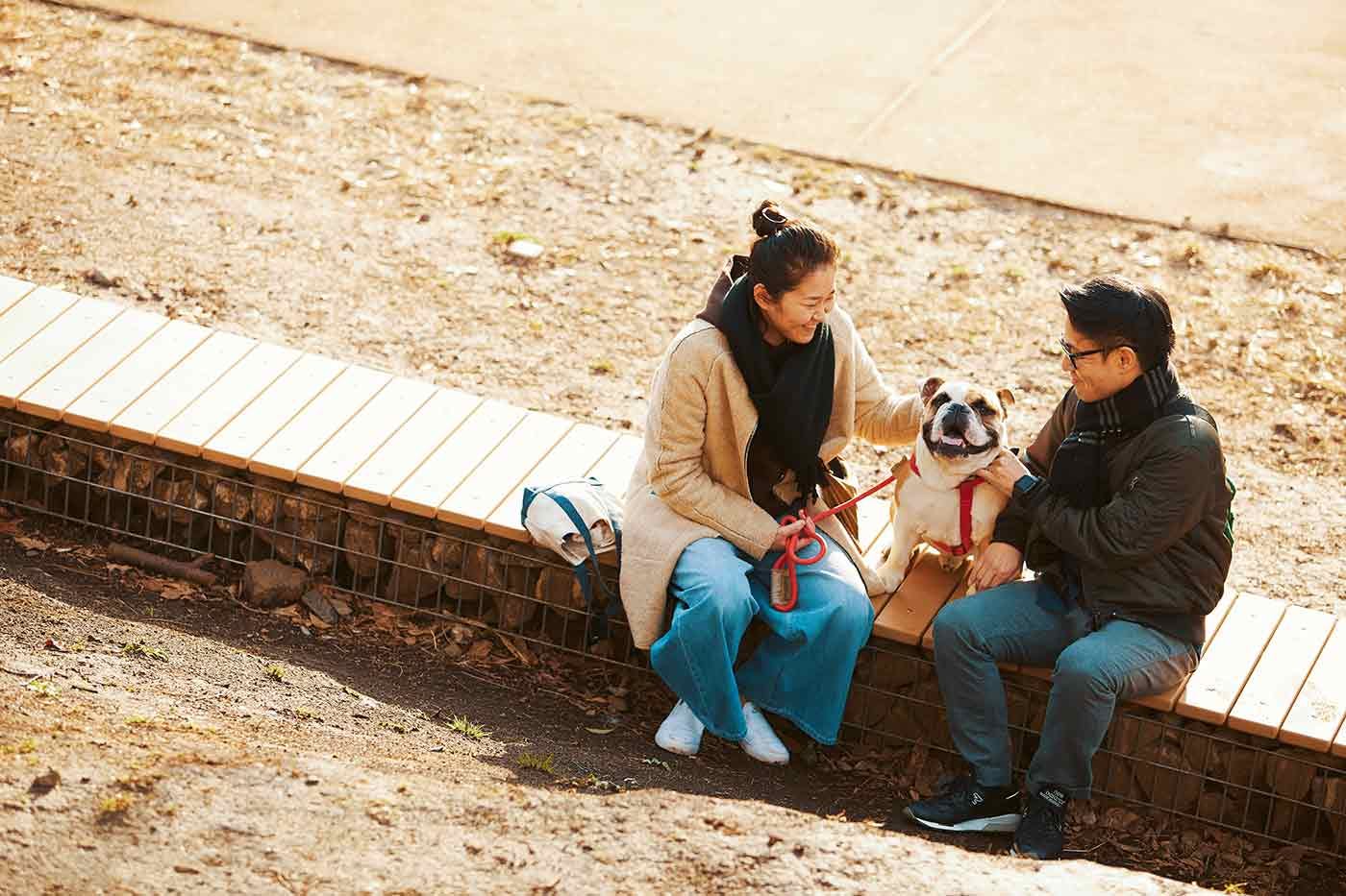 愛犬サンプル写真 鼻ぺちゃを愛してやまないご夫婦。愛犬のブルドッグ、エイトくんが