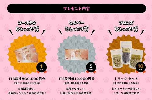 世界の銘菓でひょっこりわん景品
