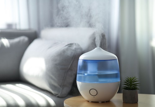 犬にも保湿が必要 乾燥肌になりやすい理由とスキンケアの方法を解説 獣医師監修 わんクォール 犬にも保湿が必要 乾燥肌になりやすい理由とスキンケアの方法を解説 獣医師監修 わんクォール