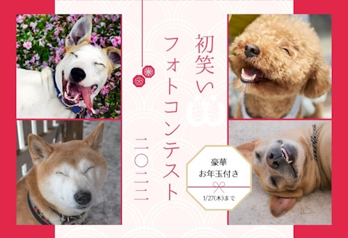 【豪華ホテル宿泊券が当たる】わんクォール『2022初笑いフォトコンテスト』開催!愛犬の写真を投稿しよう