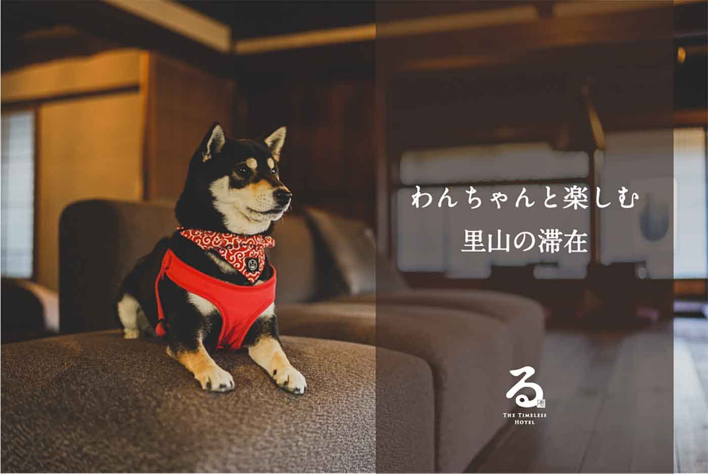 【愛犬と泊まる】築100年の古民家で囲炉裏を囲む、ペットと泊まれる一棟貸し宿が山梨と千葉に誕生！