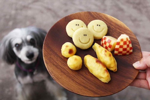 【トースターで簡単】愛犬に大人気のおやつ！りんご入りスイートポテト♡おなかに優しいからパピー〜シニアにもOK！