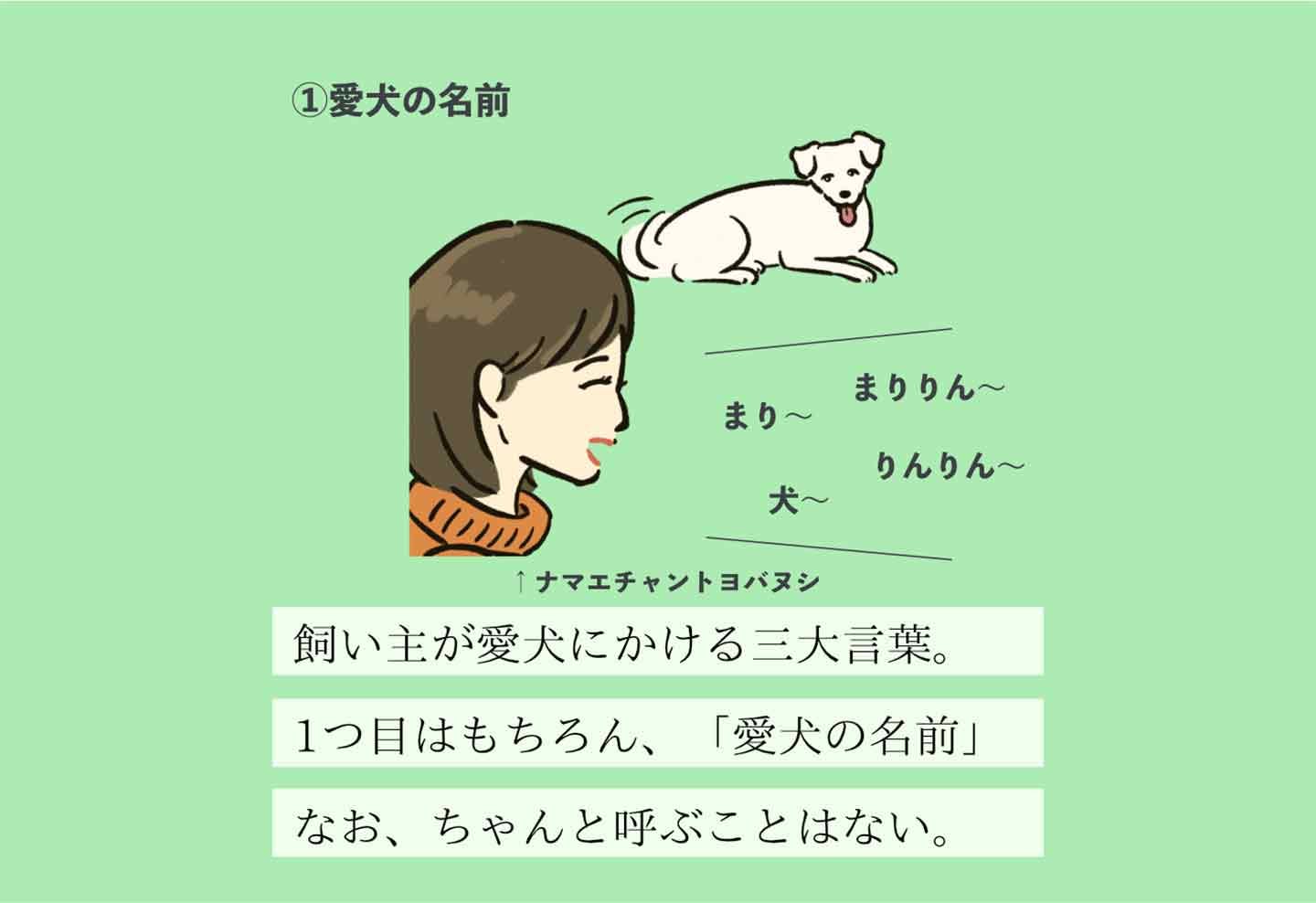 コエカケタガリヌシの生態《変な飼いヌシ図鑑013》