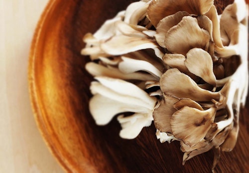 犬にきのこを与えても大丈夫 食べさせてもいい種類と注意点を解説 獣医師監修 わんクォール 犬にきのこを与えても大丈夫 食べさせてもいい種類と注意点を解説 獣医師監修 わんクォール