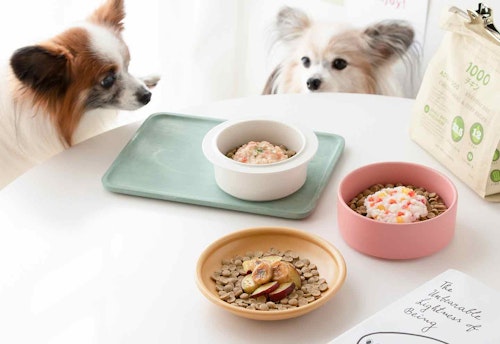 調理時間5分 シニア犬にもおすすめの低タンパク 低脂肪のトッピング 食いつきupレシピまとめ わんクォール 調理時間5分 シニア犬にもおすすめの低タンパク 低脂肪のトッピング 食いつきupレシピまとめ わんクォール