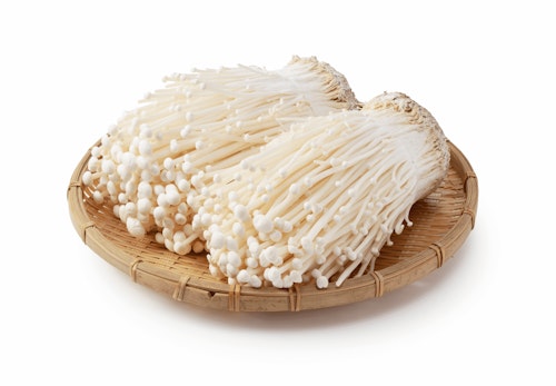 犬にきのこを与えても大丈夫 食べさせてもいい種類と注意点を解説 獣医師監修 わんクォール 犬にきのこを与えても大丈夫 食べさせてもいい種類と注意点を解説 獣医師監修 わんクォール