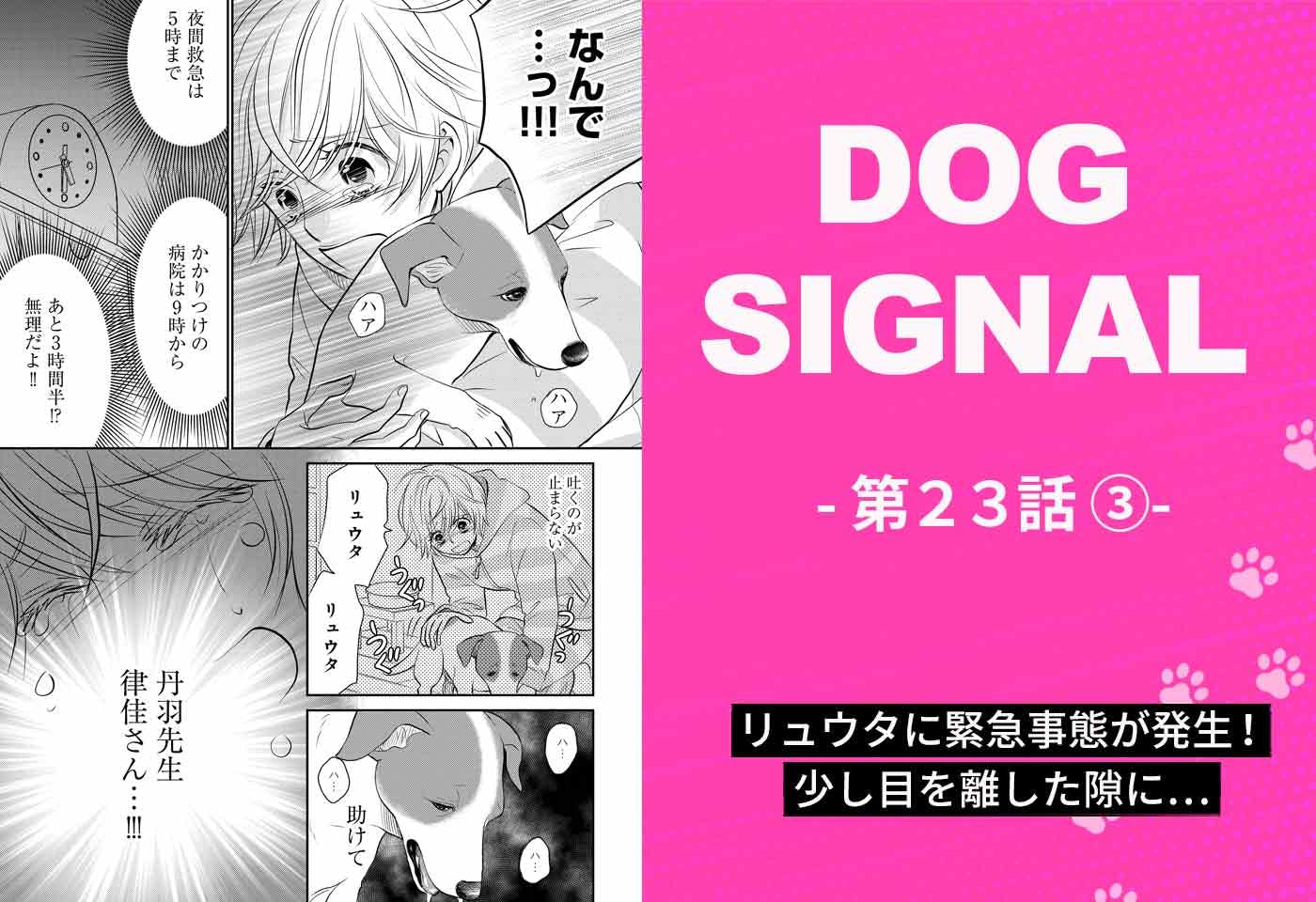 『DOG SIGNAL（ドッグシグナル）』23話目　3/4