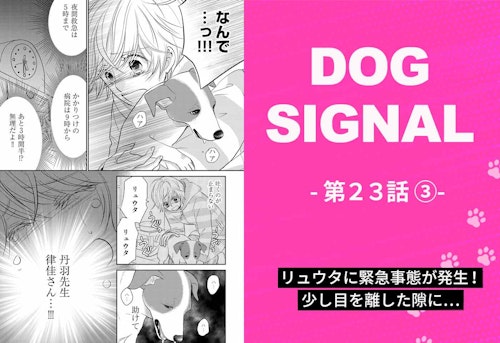 『DOG SIGNAL』23話目 3/4