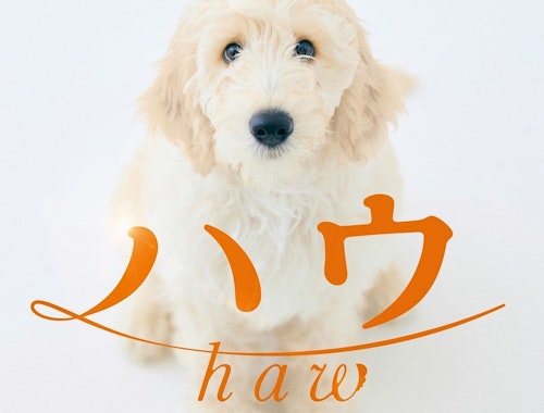 犬童一心監督による”犬と青年の絆”を描いた映画『ハウ』、2022年夏の公開が決定！原作小説は2月7日に発売