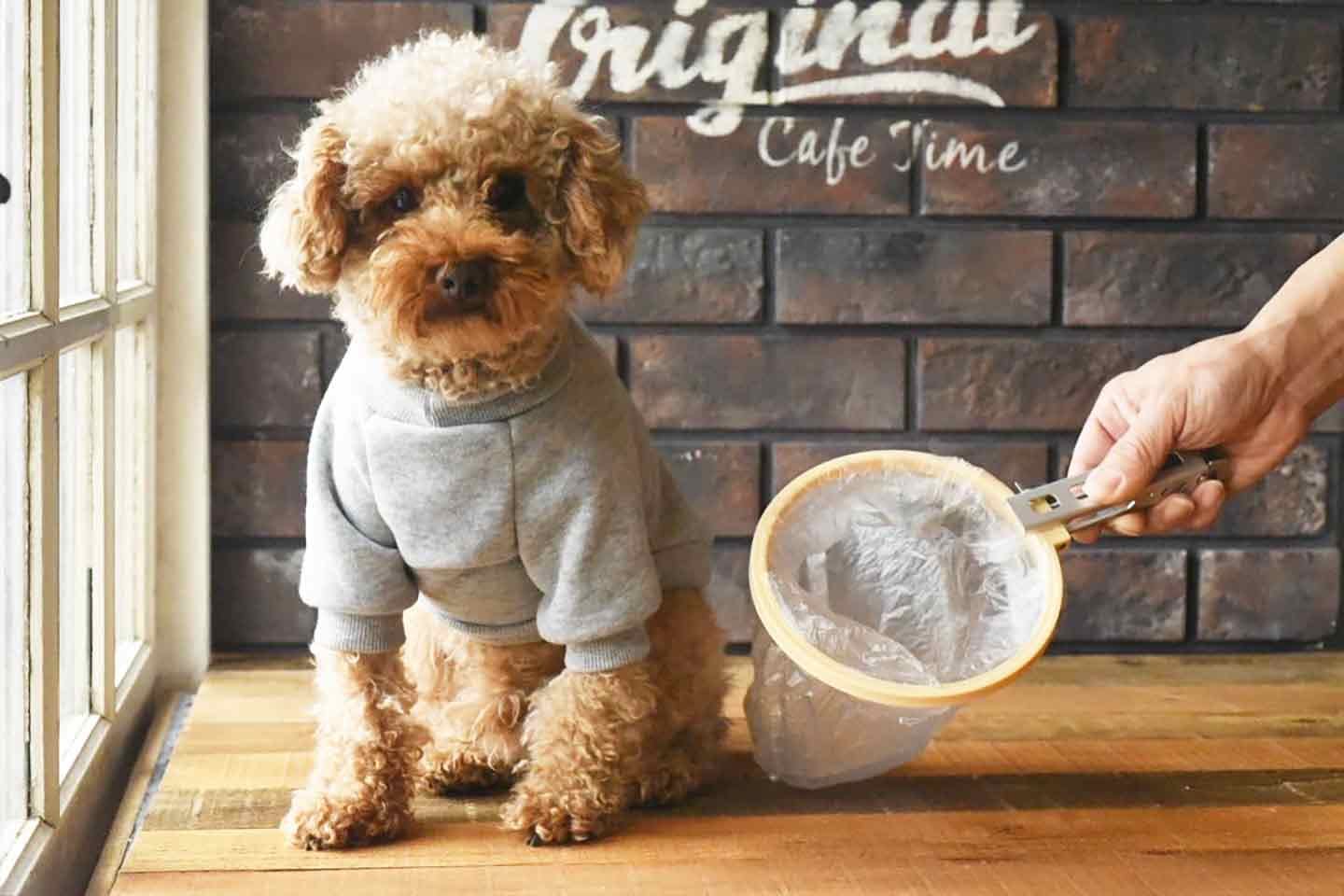 犬 の フン トップ 服 につい た