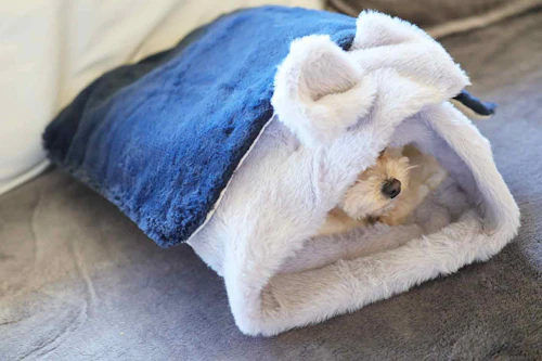 多機能4way 10分で簡単に作れる100均素材の愛犬用のマット トンネルベッド 冬でも快適な防寒アイテム わんクォール 多機能4way 10分で簡単に作れる100均素材の愛犬用のマット トンネルベッド 冬でも快適な防寒アイテム わんクォール