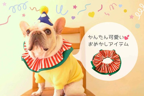 【簡単ハンドメイド】愛犬用フリルのつけ襟を手作り！お洋服のワンポイントやお誕生日・イベントにオススメ♪