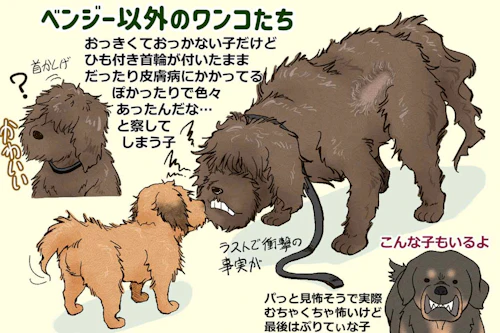 大ヒット映画が復刻 知恵と勇気いっぱいの野良犬が兄妹を救う Netflix版 ベンジー のあらすじ 見どころ わんクォール 大ヒット映画が復刻 知恵と勇気いっぱいの野良犬が兄妹を救う Netflix版 ベンジー のあらすじ 見どころ わんクォール