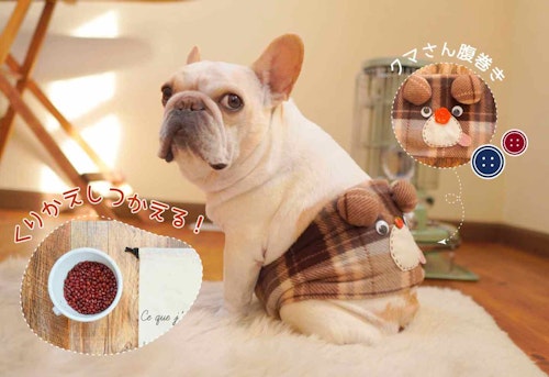 愛犬の冷え予防 レンジで繰り返し使えるエコなホットパック くまさん腹巻きを手作り 腰痛犬 高齢犬にもオススメ わんクォール 愛犬の冷え予防 レンジで繰り返し使えるエコなホットパック くまさん腹巻きを手作り 腰痛犬 高齢犬にもオススメ わんクォール