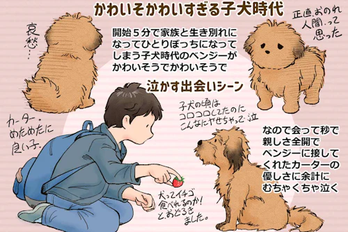 大ヒット映画が復刻 知恵と勇気いっぱいの野良犬が兄妹を救う Netflix版 ベンジー のあらすじ 見どころ わんクォール