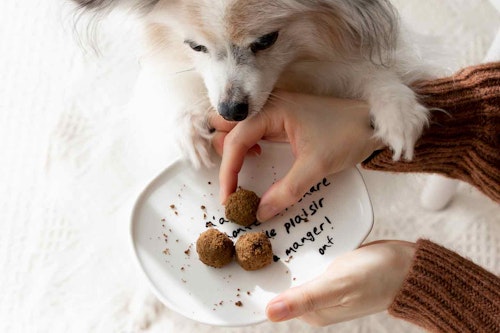 【食べやすさ◎】食感が柔らかくパピー（子犬）〜シニア（高齢）犬まで対応可能