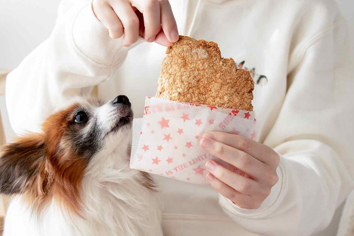 材料2つ！愛犬おやつ「せんべい風ジャーキー」混ぜて焼くだけレシピ