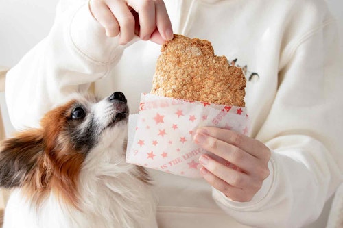 愛犬用ジャーキーチップス ひき肉で作れるおせんべい風おやつの超簡単レシピ 小分けにサイズ調整 わんクォール 愛犬用ジャーキーチップス ひき肉で作れるおせんべい風おやつの超簡単レシピ 小分けにサイズ調整 わんクォール