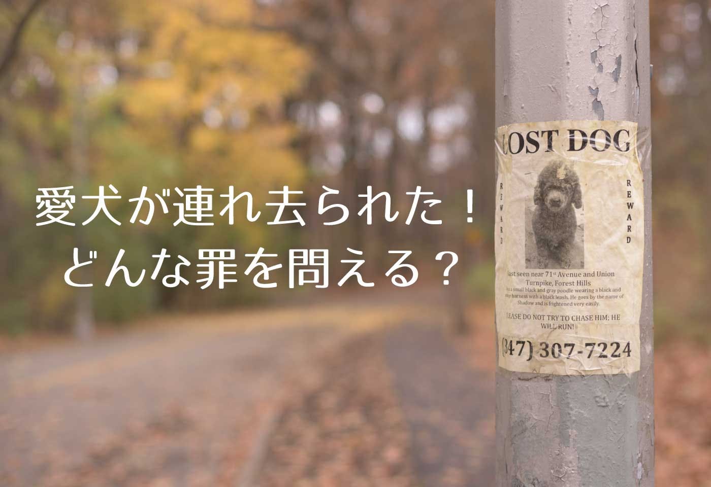 【犬の事件簿】宅配の人が愛犬を連れ去った？！犬を連れ去った人はどんな罪に問われるの？