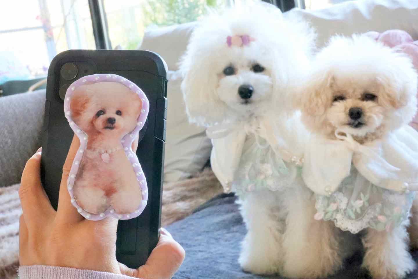 【レジンでDIY】愛犬の写真で「スマホグリップ」を作ろう！オリジナルデザインで取り外しも自由自在