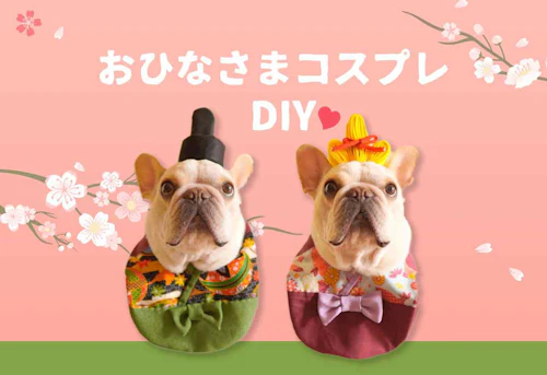 不器用さんでもok 愛犬とのひな祭りdiy 100均のフェルトでおひなさまになりきりコスプレ わんクォール 不器用さんでもok 愛犬とのひな祭りdiy 100均のフェルトでおひなさまになりきりコスプレ わんクォール