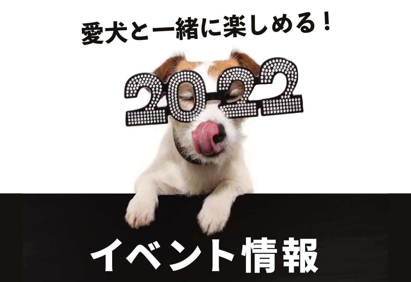 【2022年最新版】愛犬と一緒に楽しめる全国のイベント情報（随時更新）