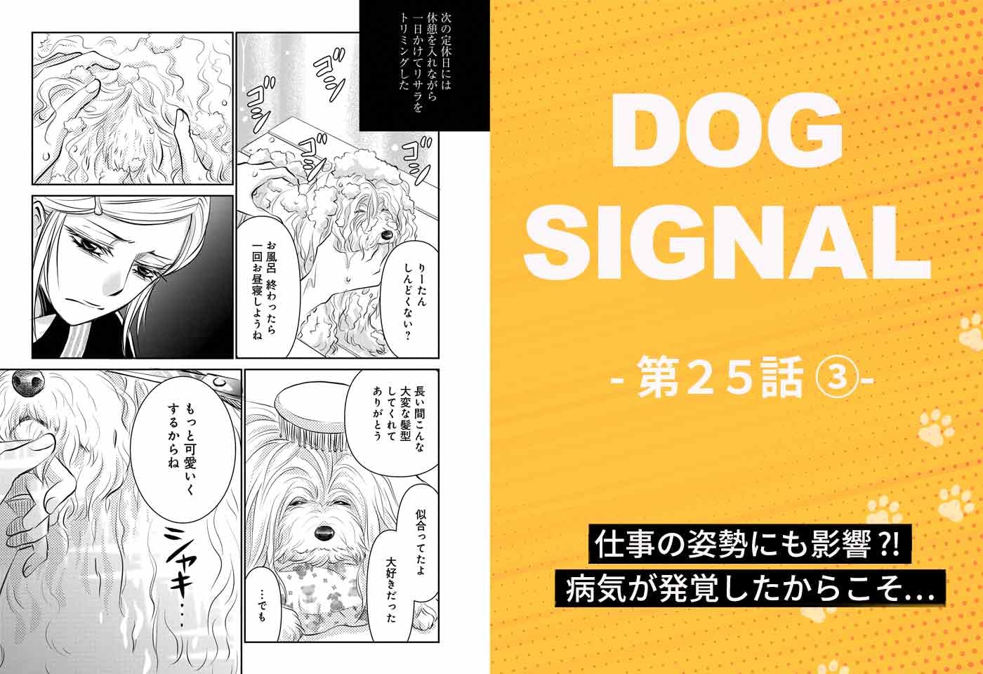 DOG SIGNAL（ドッグシグナル）』25話目 3/4|ワンクォール