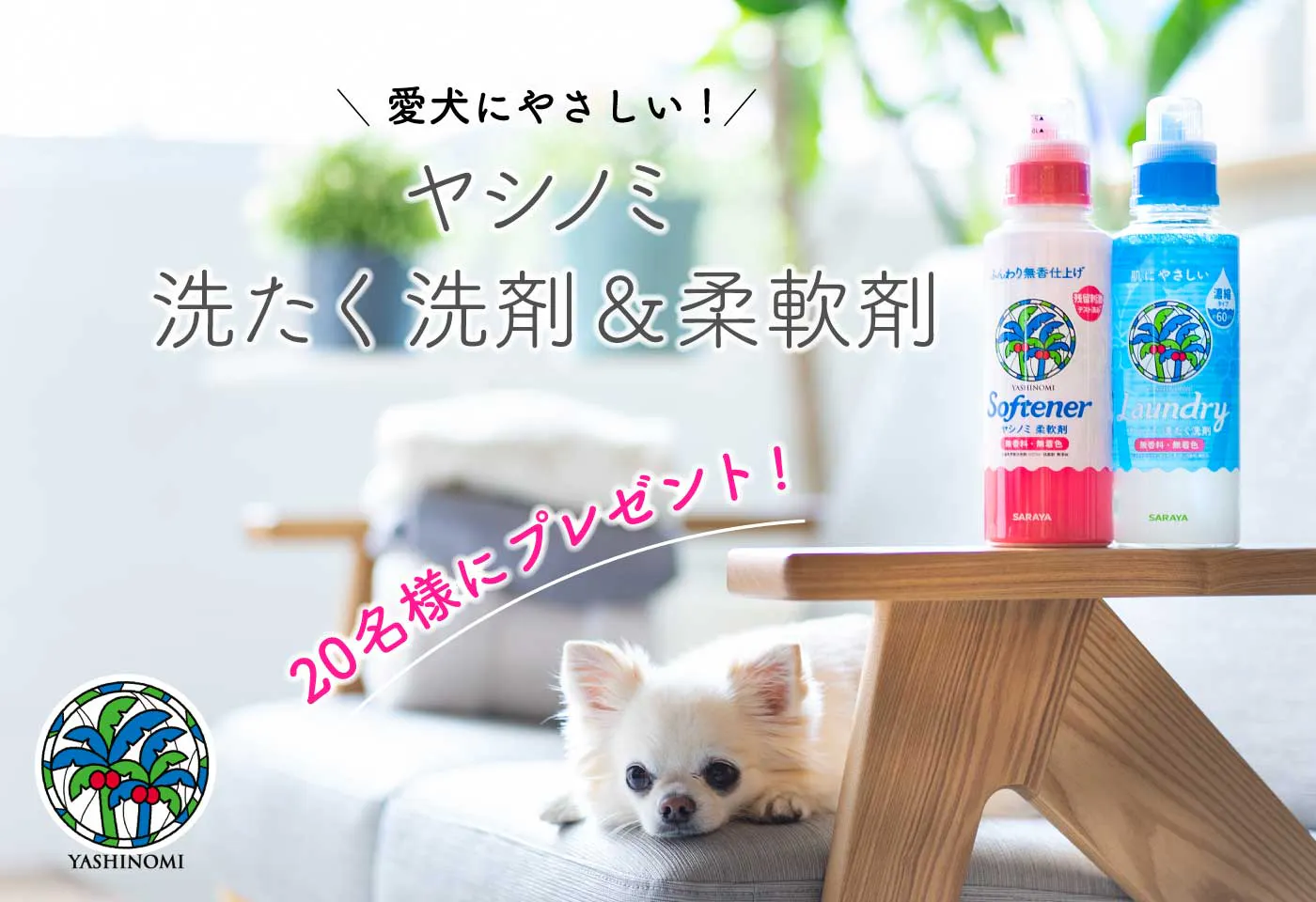 無香料 無添加で愛犬にやさしい 50年変わらないコンセプトで今見直される ヤシノミ洗剤 とは わんクォール