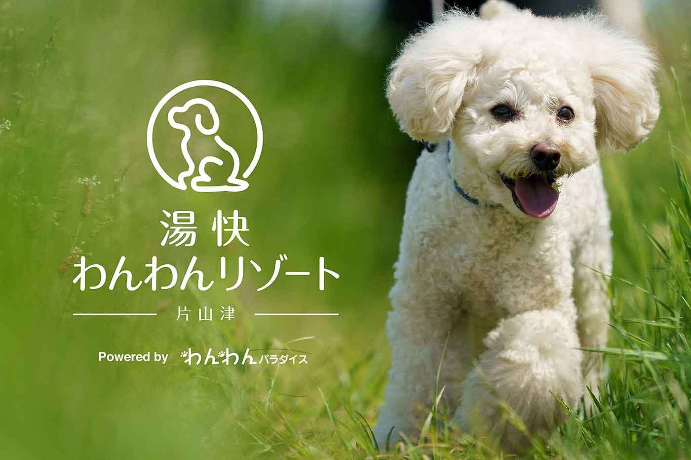 【石川】片山津温泉の愛犬専用ホテル『湯快わんわんリゾート片山津』にドッグラン付き客室が登場！