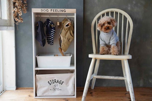 【犬服収納】カラーボックスで作る愛犬用クローゼット！簡単＆オシャレな片付けアイデア