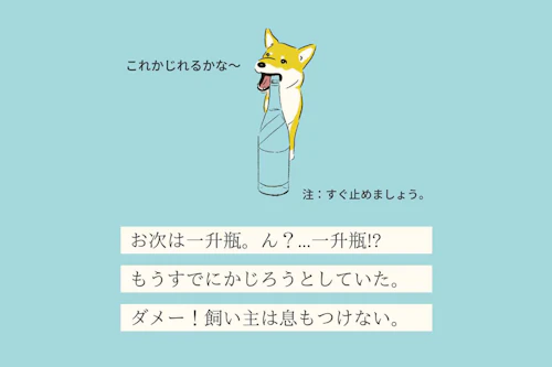 変な犬図鑑no 018 カジリーヌ なんでも噛むかじる犬の心理を獣医師が解説 わんクォール 変な犬図鑑no 018 カジリーヌ なんでも噛むかじる犬の心理を獣医師が解説 わんクォール