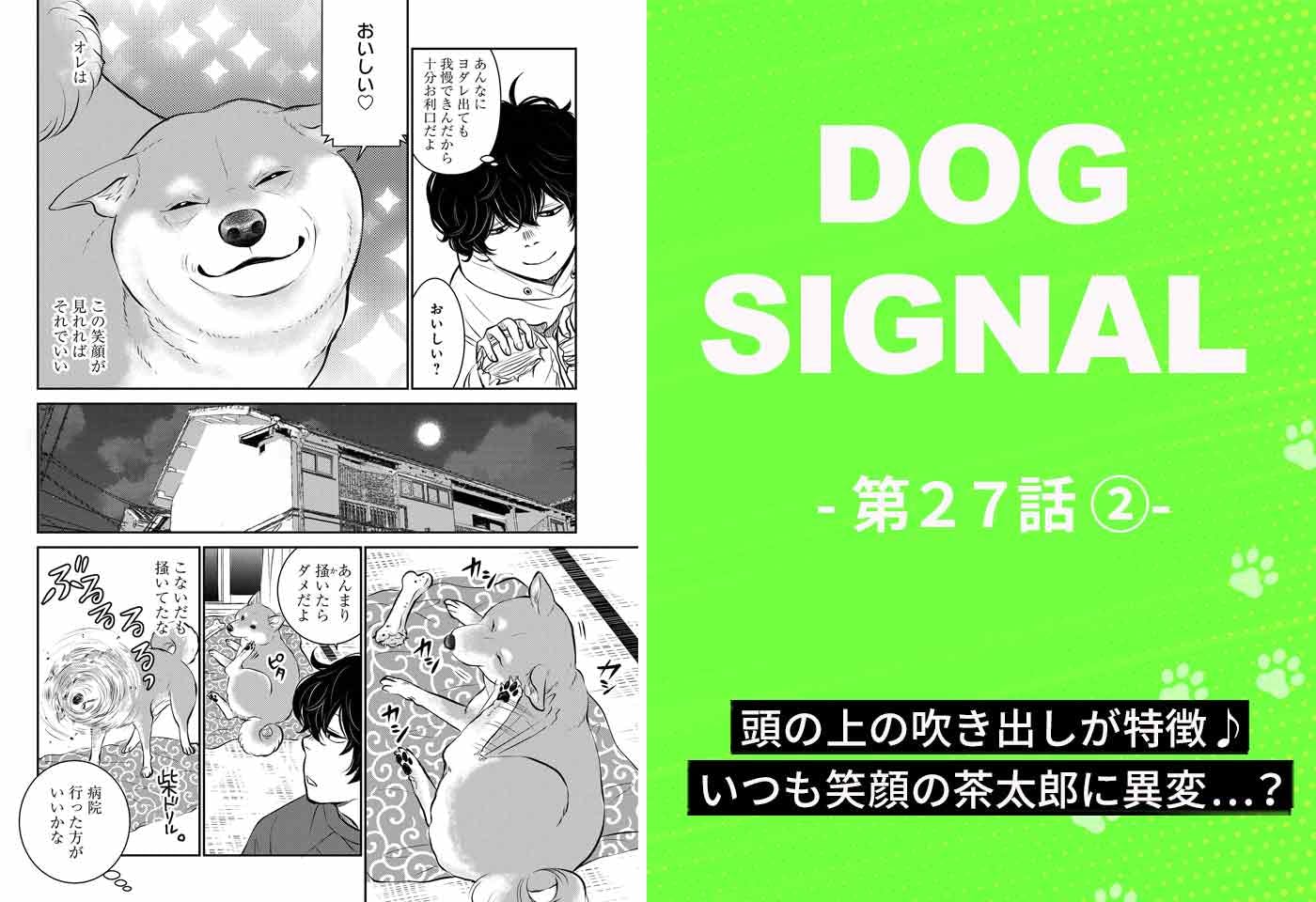 DOG SIGNAL 全巻 DOG SIGNAL 全巻セット（1-14巻 最新刊） | 八文字屋OnlineStore