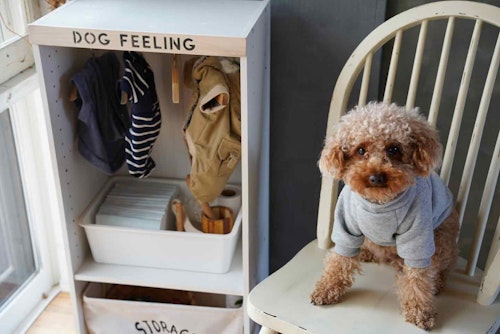犬服収納 カラーボックスで作る愛犬用クローゼット 簡単 オシャレな片付けアイデア わんクォール 犬服収納 カラーボックスで作る愛犬用クローゼット 簡単 オシャレな片付けアイデア わんクォール