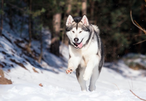 Ulkhqnerprll2m Ulkhqnerprll2m