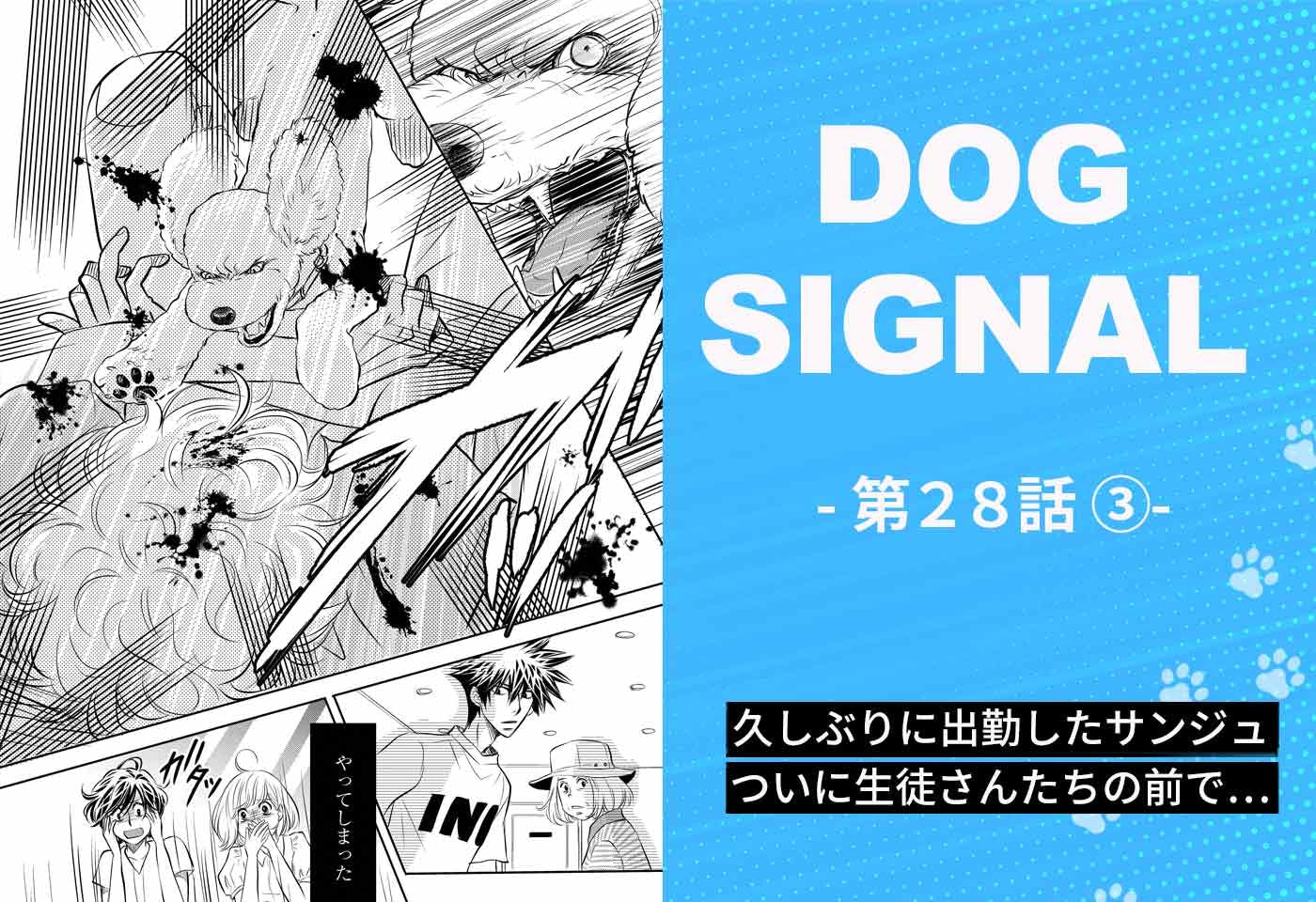 『DOG SIGNAL（ドッグシグナル）』28話目　3/4