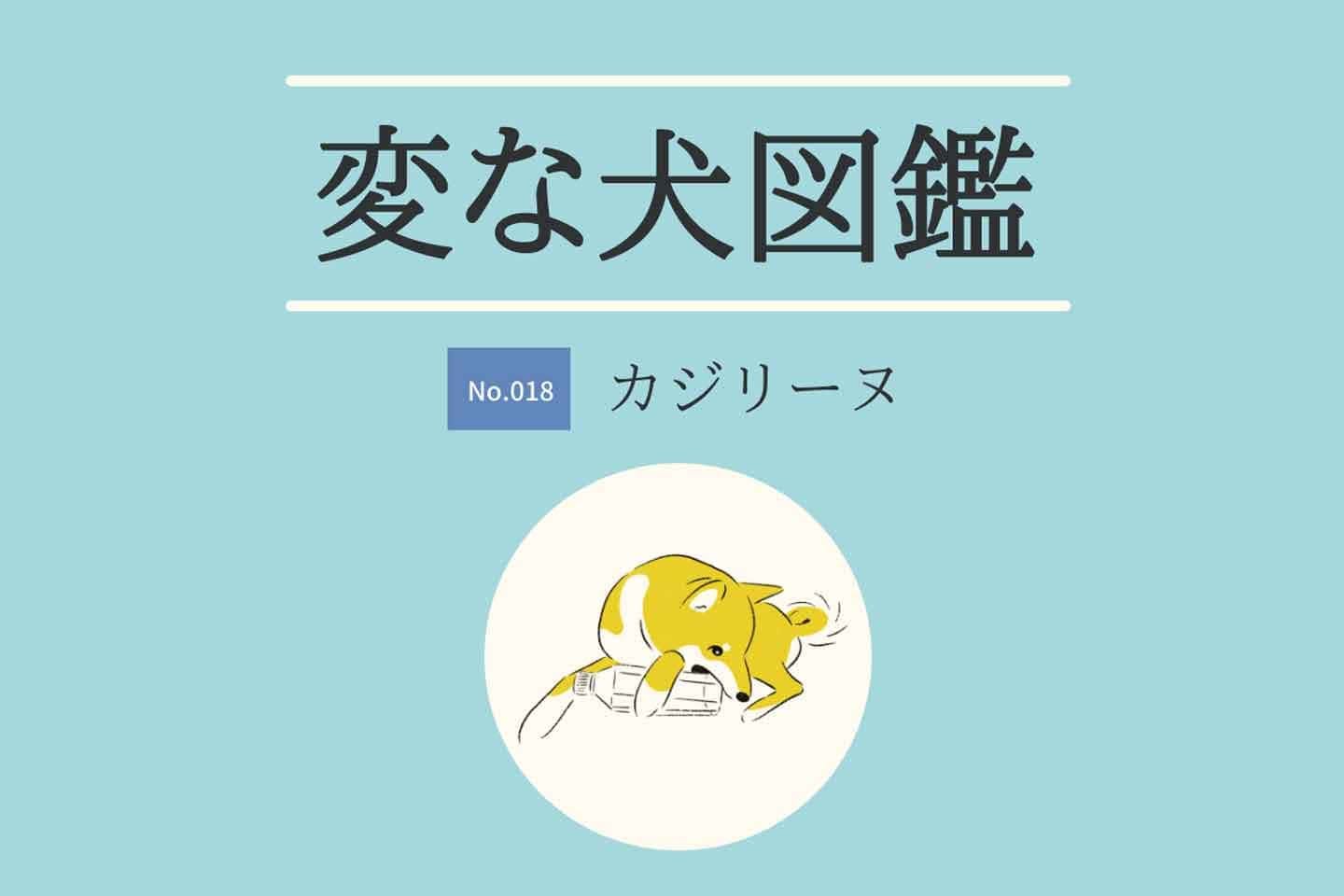 【変な犬図鑑No.018 カジリーヌ】なんでも噛むかじる犬の心理を獣医師が解説！