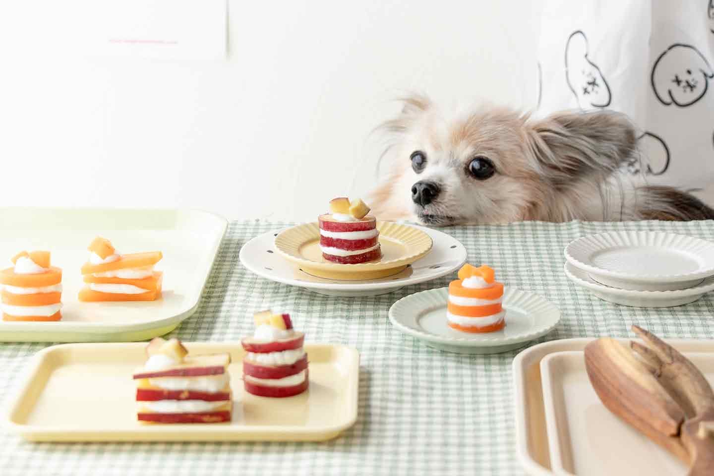 愛犬用の野菜ケーキ　さつまいもとにんじんを使った一口おやつ