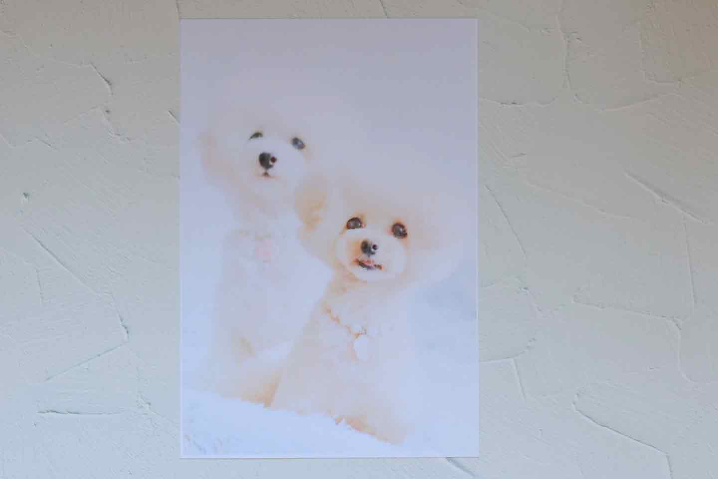 インクジェットプリンターでプラ板に愛犬の写真を印刷する