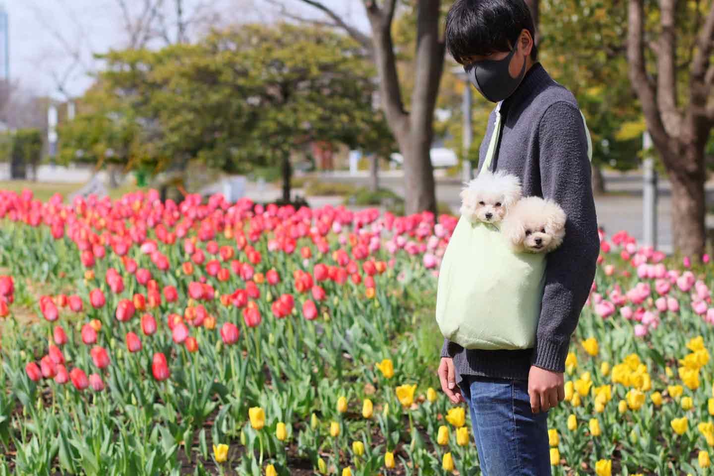 小型犬用抱っこ紐（スリング ）の作り方！人間の洋服リメイクで超簡単♪