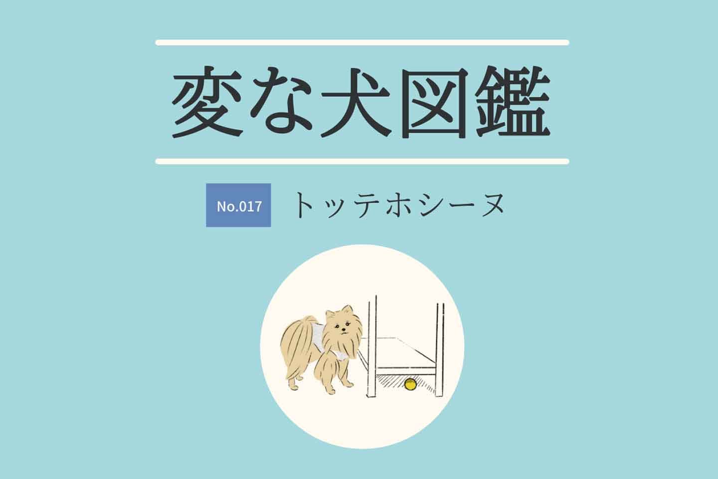 【変な犬図鑑No.017 トッテホシーヌ】わざと？隙間にボールを入れ込む犬の心理を獣医師が解説！